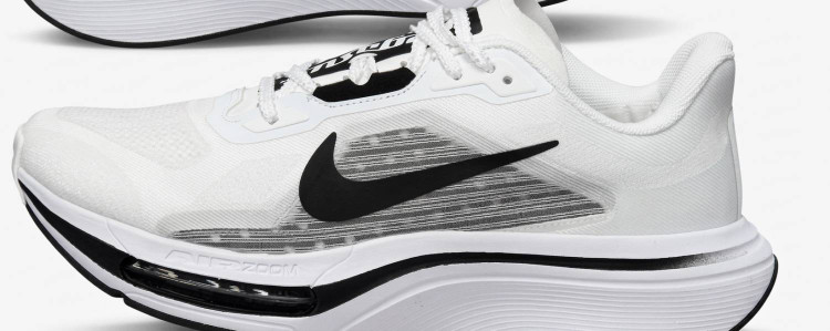 کفش پیادهروی و دویدن نایکی Air Zoom Pegasus Plus مدل FJ9245-100